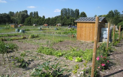 Jardins de Saint Quentin IMG_7049