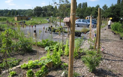 Jardins de Saint Quentin IMG_7050